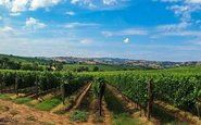 O vinho italiano é marcado principalmente pelas regiões Toscana e Piemonte