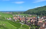 Vinhedos na Alsácia, região cresceu 41% em quatro décadas
