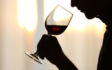 Críticos têm um dicionários próprio para descrever a variedade de características de um vinho