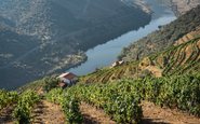 Região do Douro, terroir dos famosos Vinhos do Porto