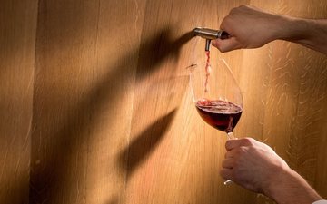 A diferença entre a mistela e o vinho é que o vinho é feito de mosto “fermentado”, já a mistela, não, é o mosto simples