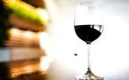 América do Norte responde por 31% do mercado de consumo de vinho tinto mundial