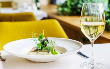 O que é Vinho Verde? Entenda a tradição portuguesa