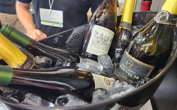 Dupla poda permite MG surgir como expoente de vinho fino