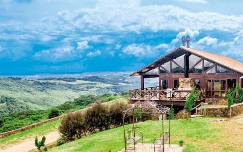 Santa Catarina é o estado com os vinhos de maior altitude no Brasil - Vinícola Abreu Garcia/Divulgação
