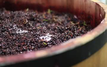 Alcoólica? Malolática? Por quantas fermentações o vinho passa no fim das contas?