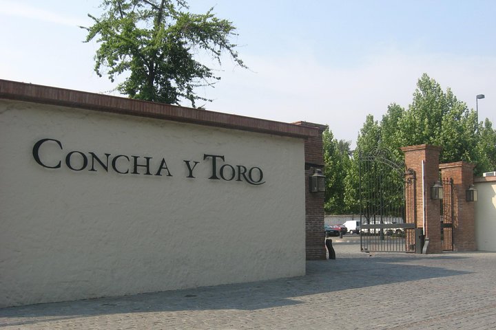 Concha y Toro é eleita Companhia Internacional de Bebidas do Ano 2021