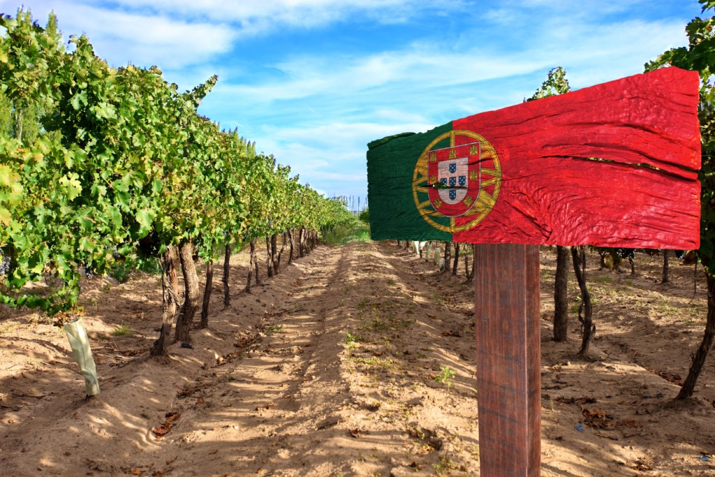 Exportação recorde de vinhos portugueses em 2021