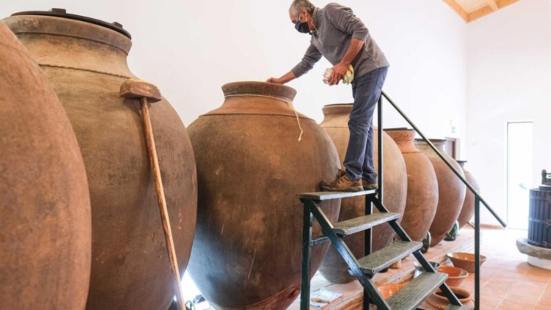 Amphora Wine Day começará em Portugal