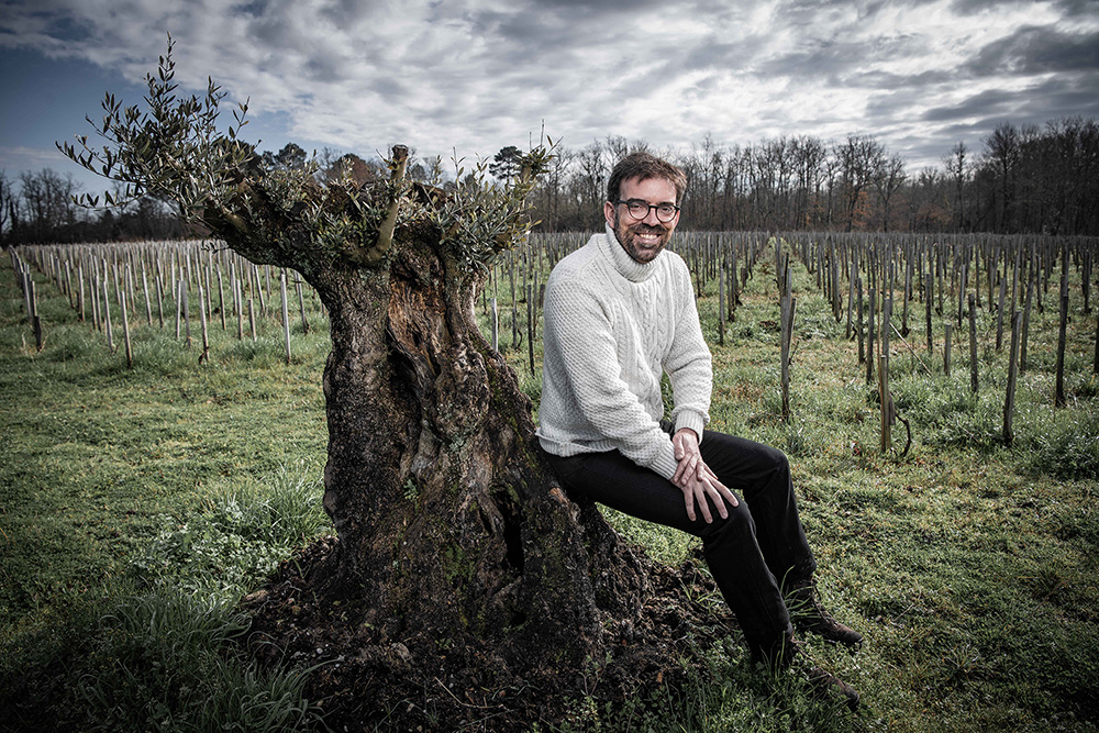 Viticultores de vinhas não enxertadas buscam reconhecimento da UNESCO