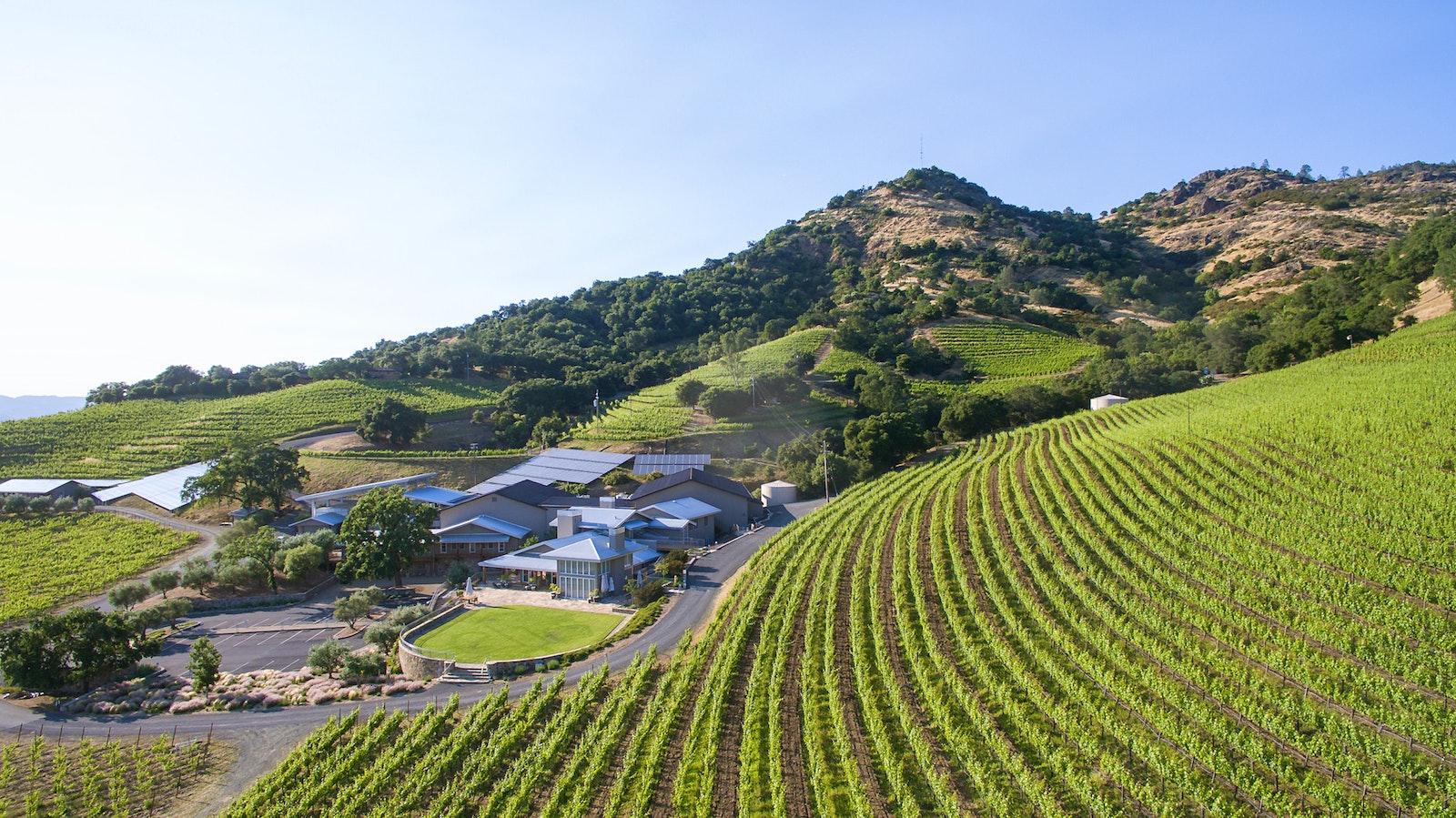 Empresa coreana compra pioneira vinícola de Stags Leap por 250 milhões de dólares