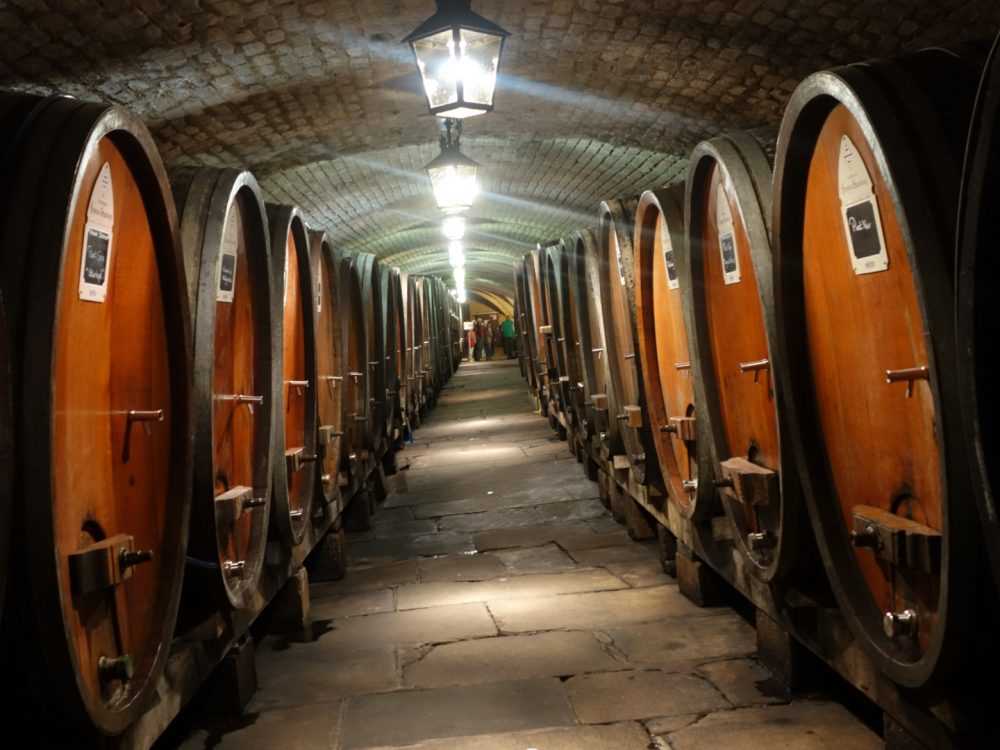 A história do vinho “bebível” mais antigo do planeta