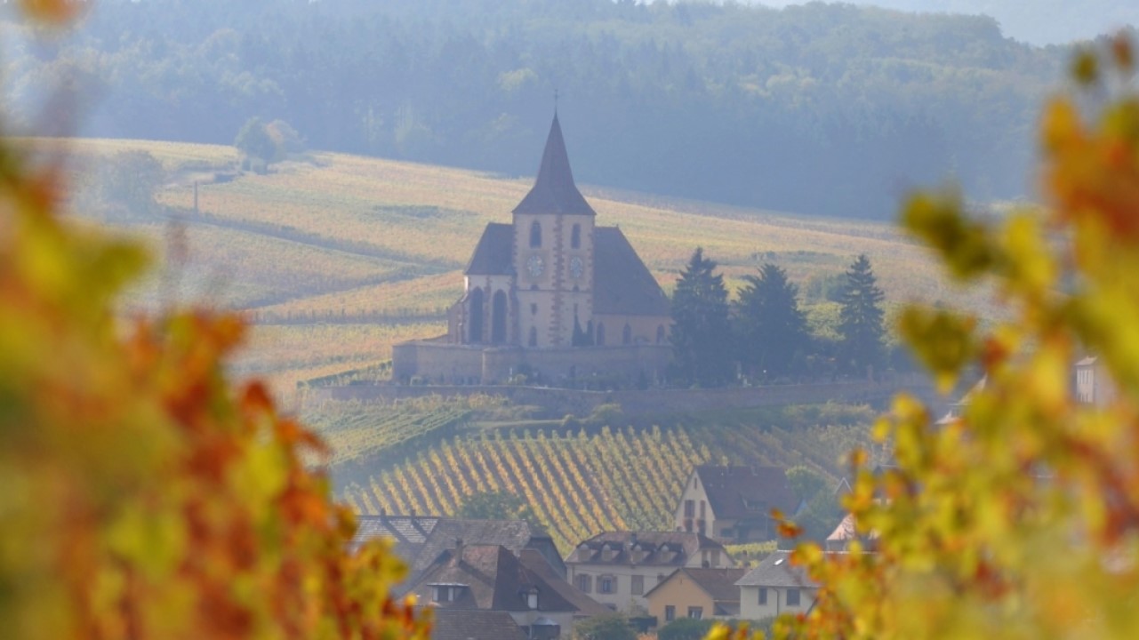 10 lindas regiões vinícolas para conhecer, além da Borgonha, Bordeaux, Toscana, Douro...
