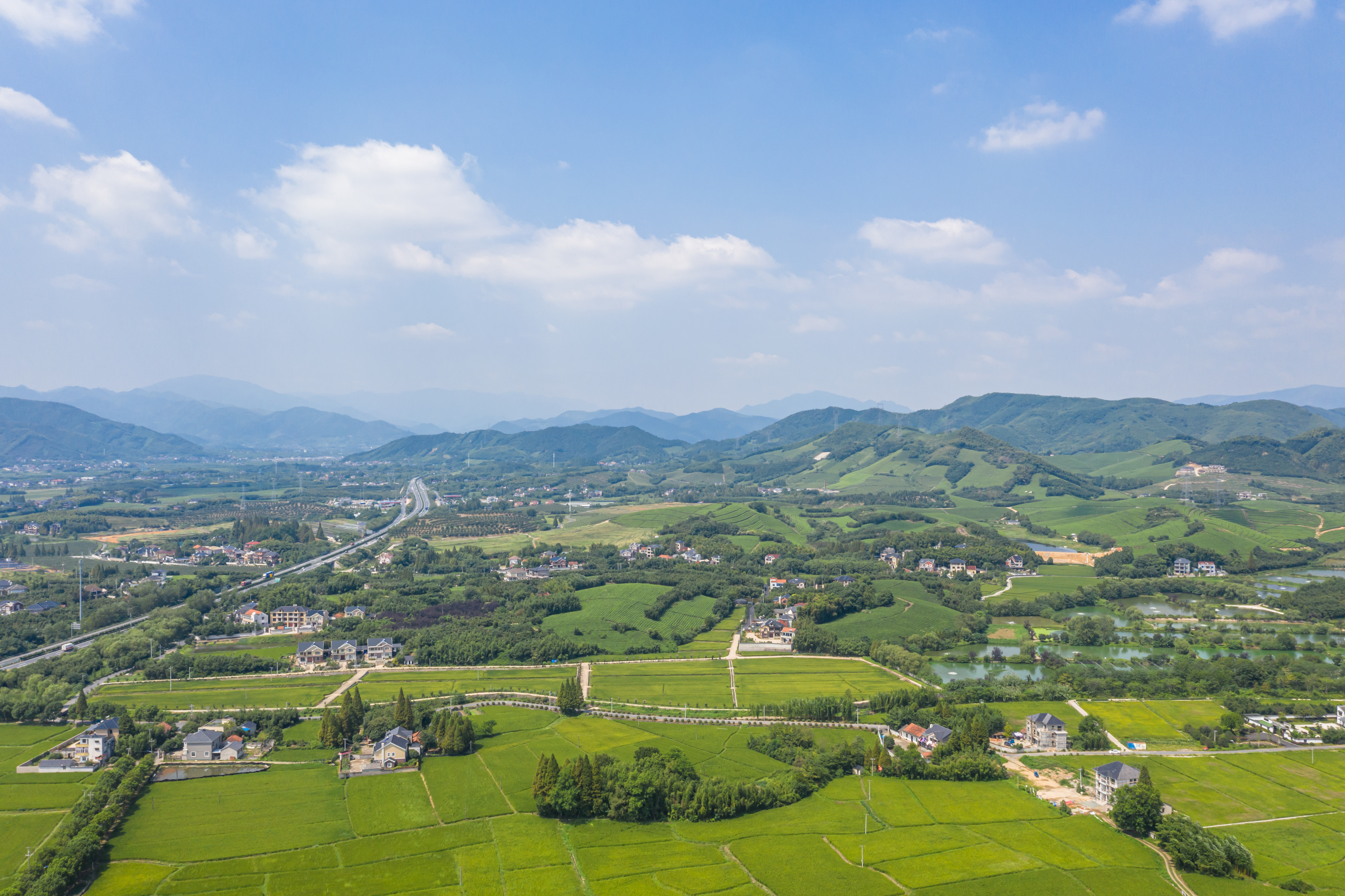Os vinhos do berço da França moderna