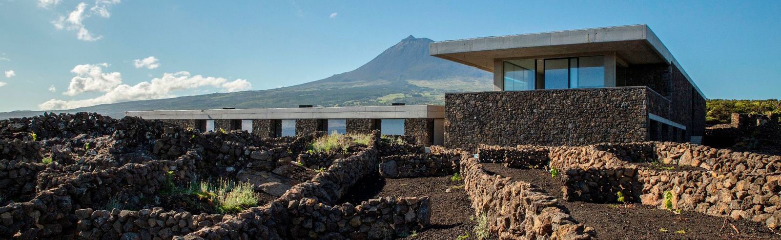 Azores Wine Company