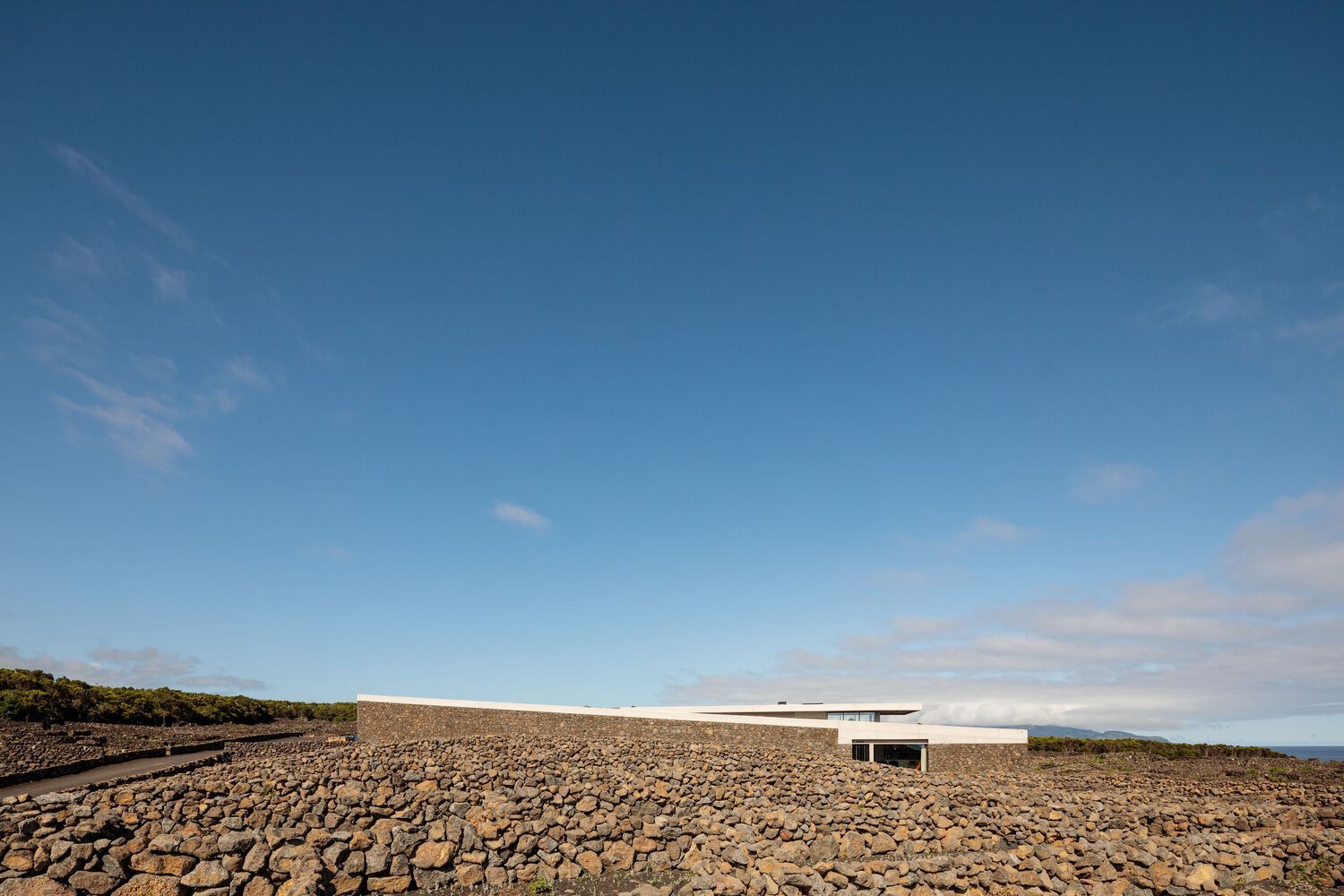 Azores Wine Company