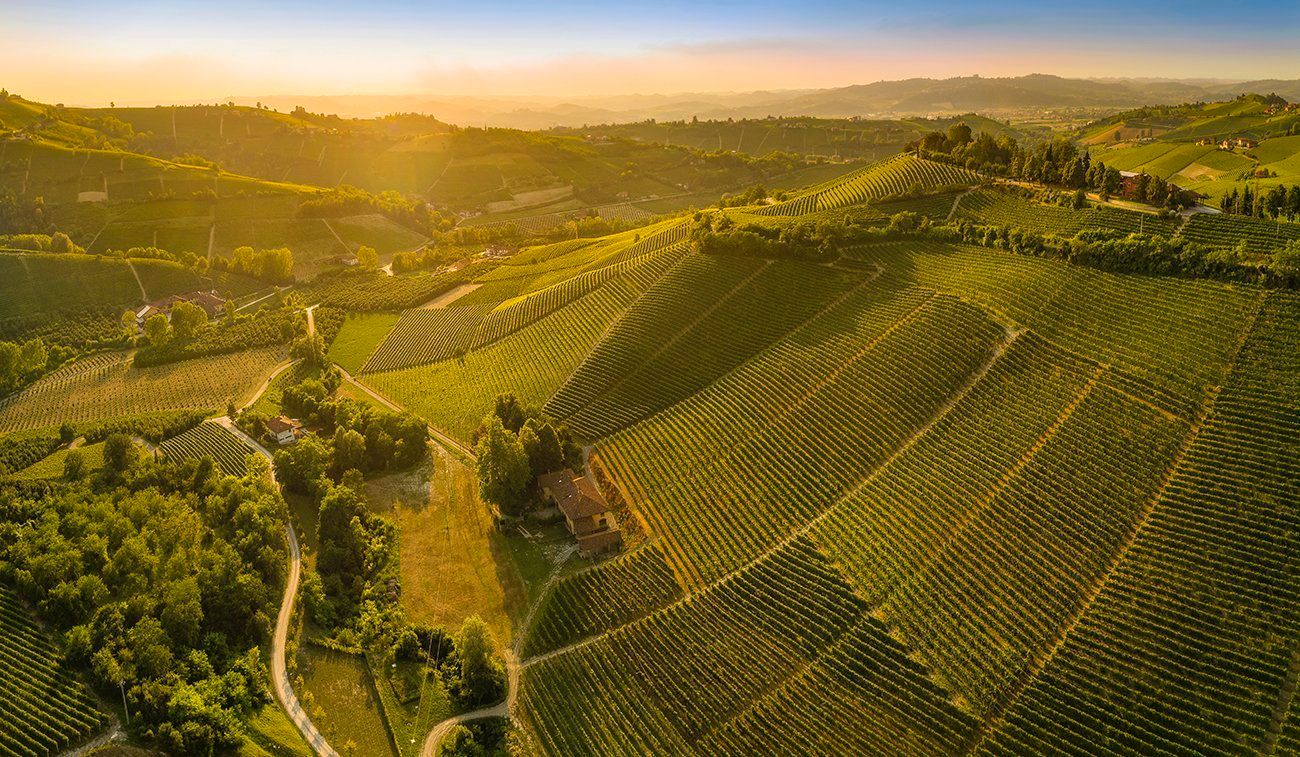 Barbaresco