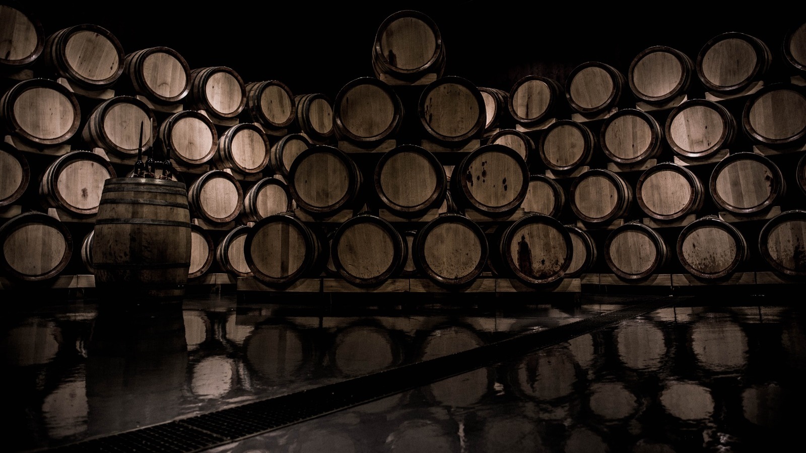 barricas de vinho