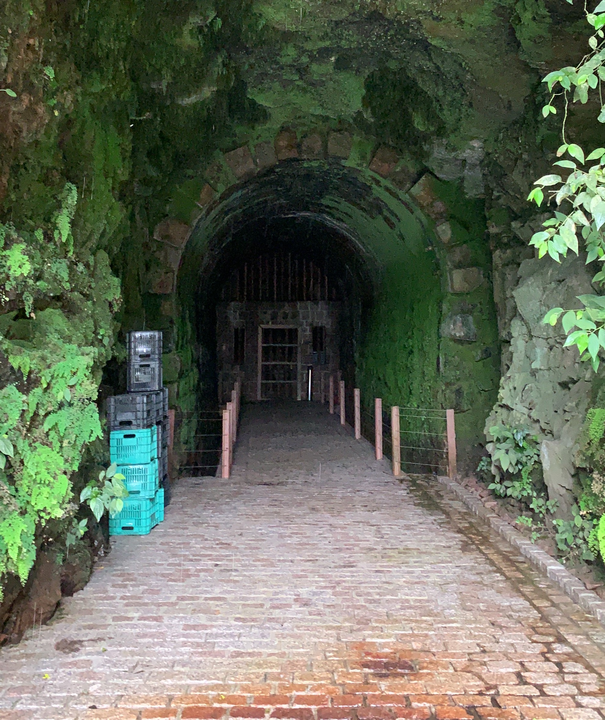 O túnel que dá nome a linha de espumantes da vinícola