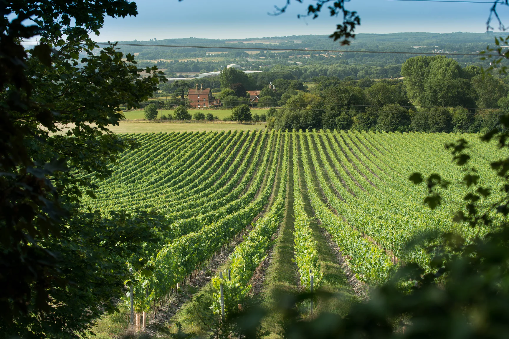 conheca-o-napa-valley-britanico