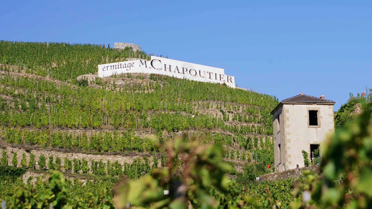 Quem diz isso é Conheça Michel Chapoutier, produtor de grandes vinhos (e de polêmicas)