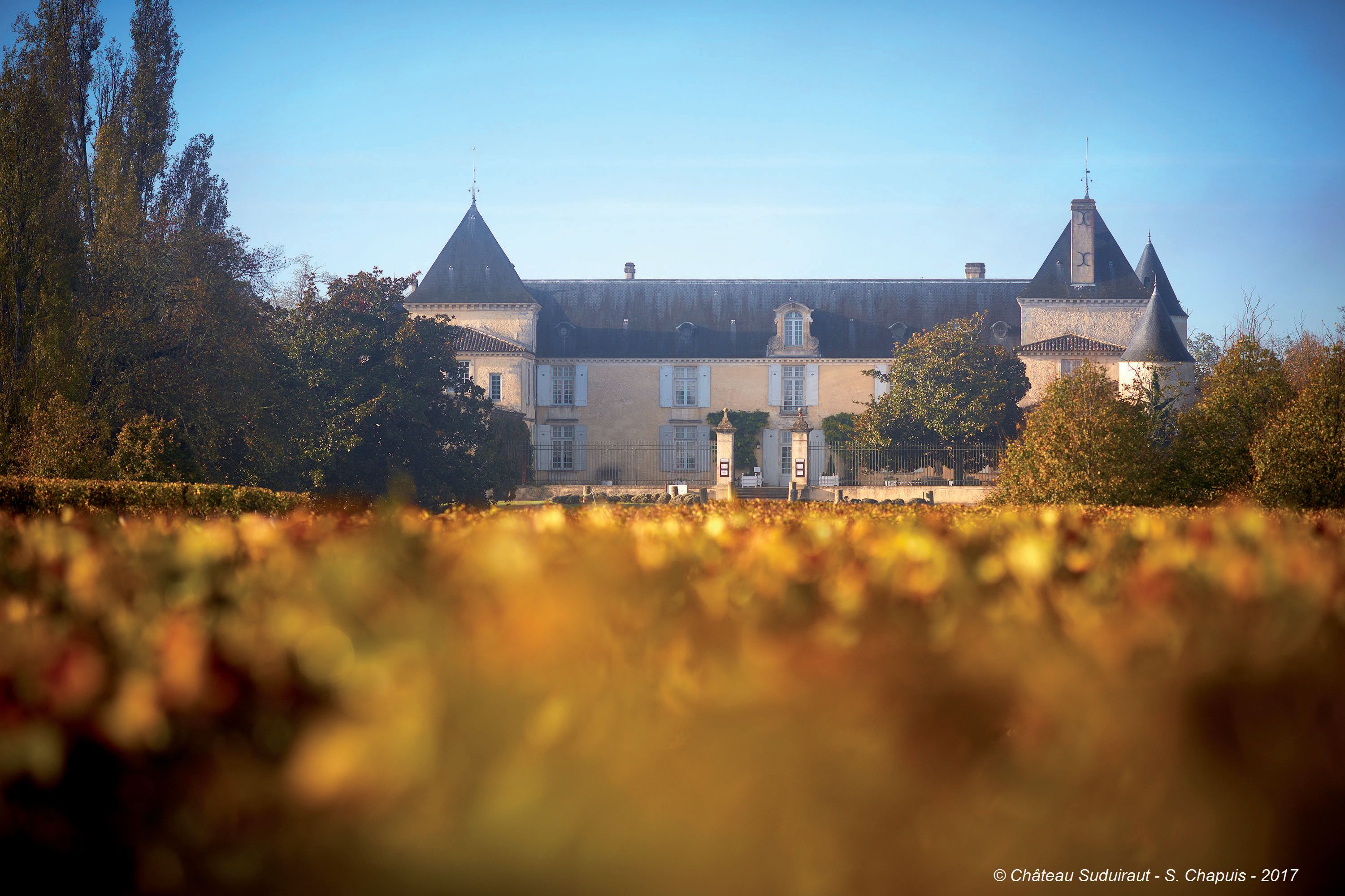 Château Latour, o mais potente dos Premiers Grands Crus de Bordeaux