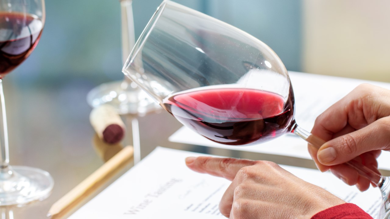 Como os vinhos são avaliados e pontuados? Conheça a história das classificações e avaliações