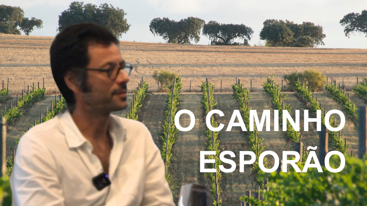 CEO do Esporão fala sobre futuro, clima e consumo