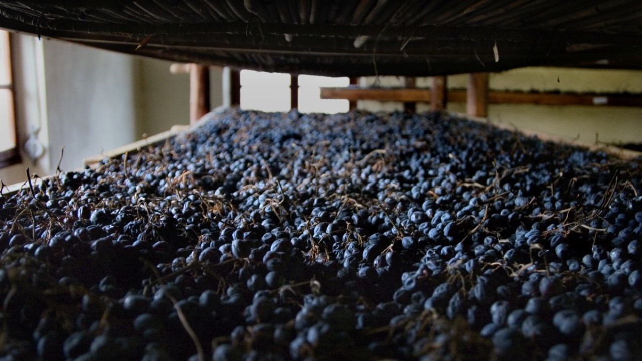 Produtores de Amarone querem que técnica de secagem de uvas seja patrimônio da humanidade