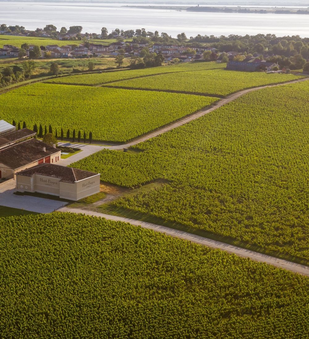 Haut-Bages Libéral