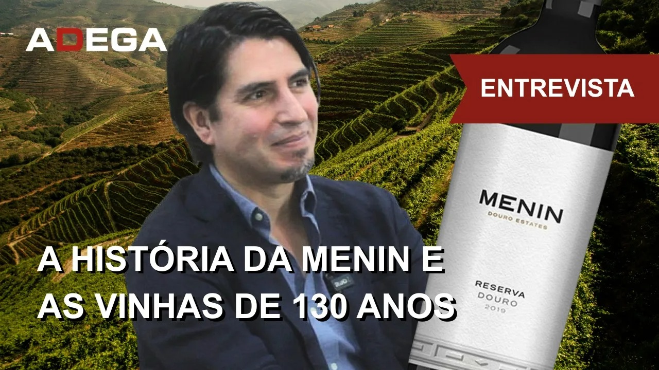 Vinhas centenárias revelam a alma do Douro