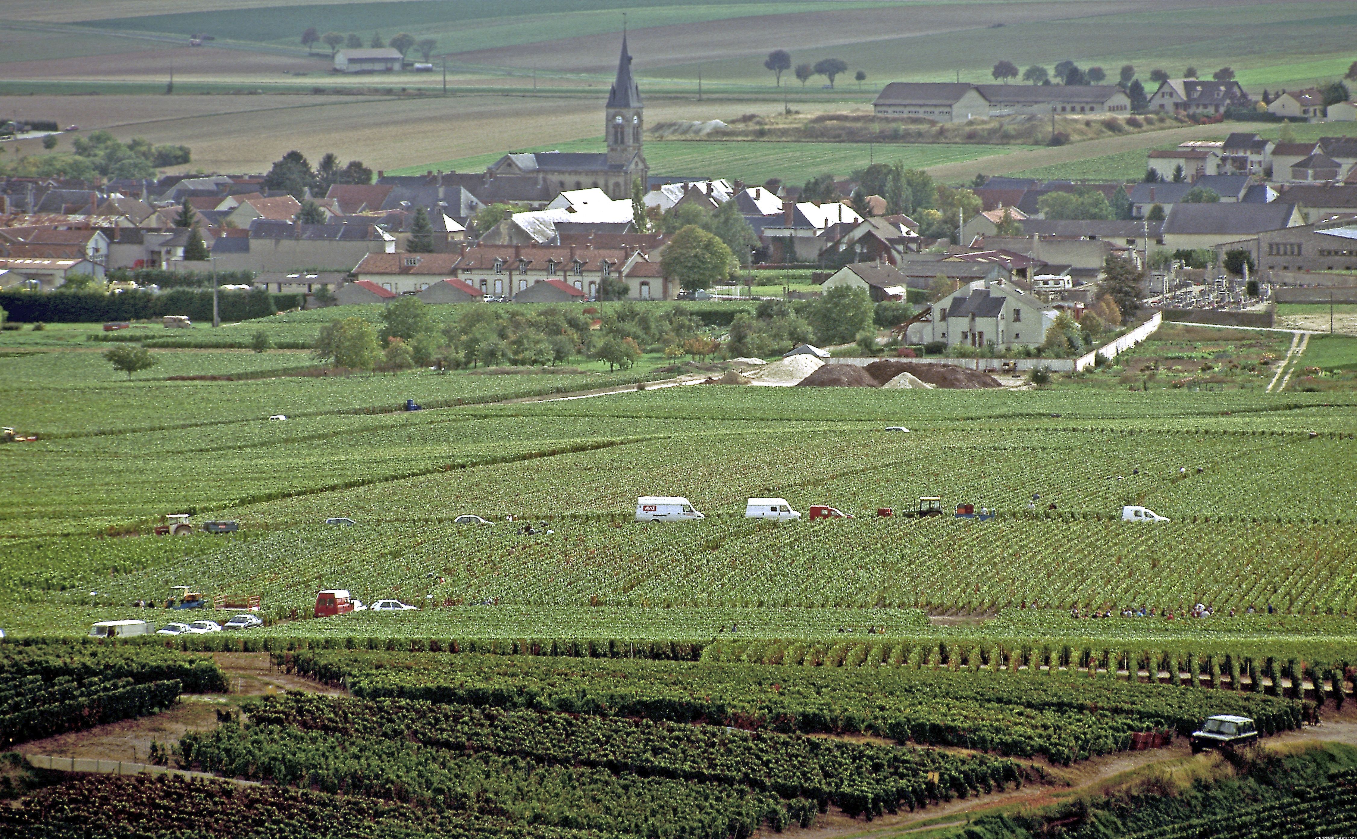 Montagne de Reims