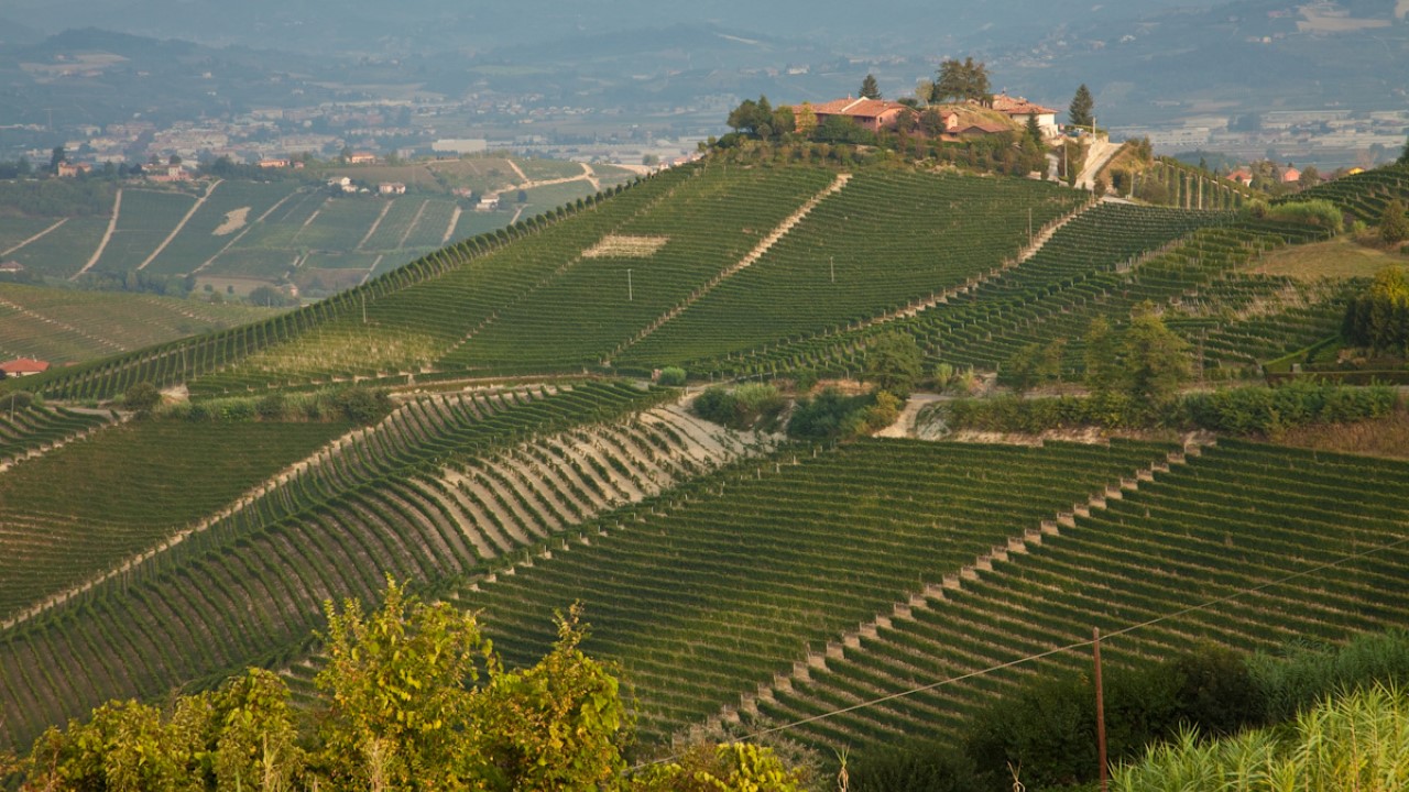 Barolo