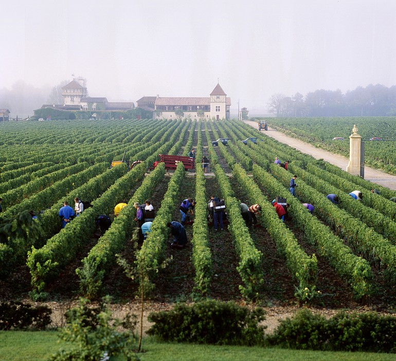 Colheita Bordeaux