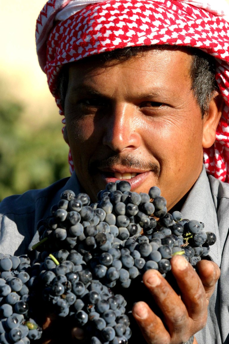 viticultor libanês
