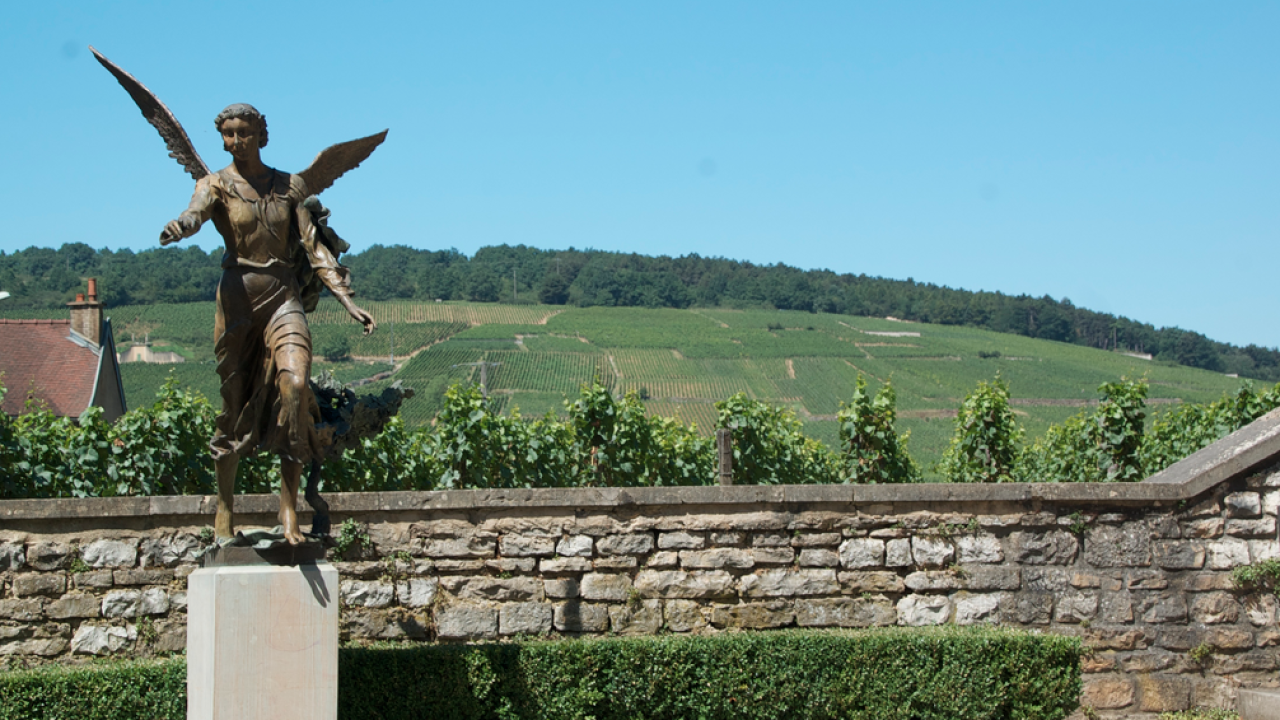 Romanée-Conti: por dentro da vinícola que faz o “maior” vinho do mundo