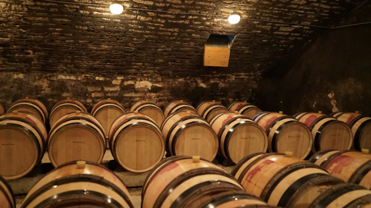 Romanée-Conti: por dentro da vinícola que faz o “maior” vinho do mundo