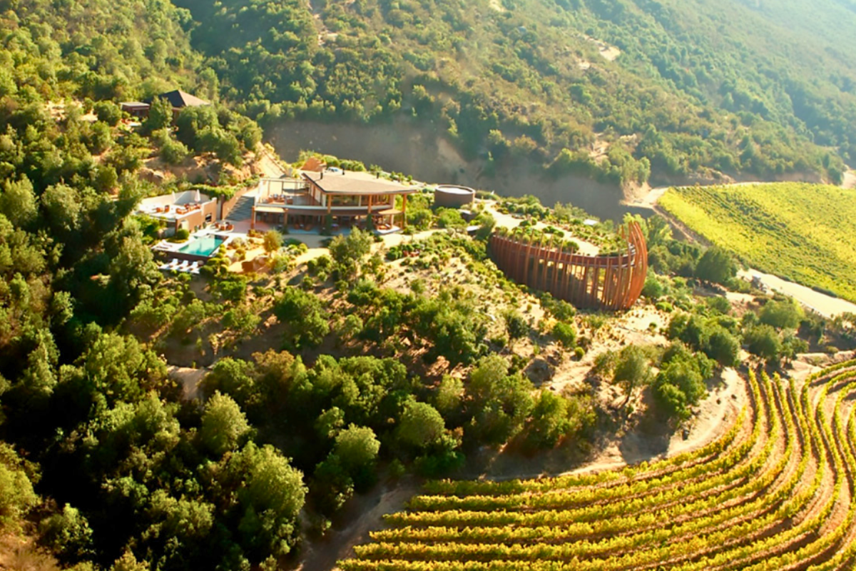 Vale de Apalta