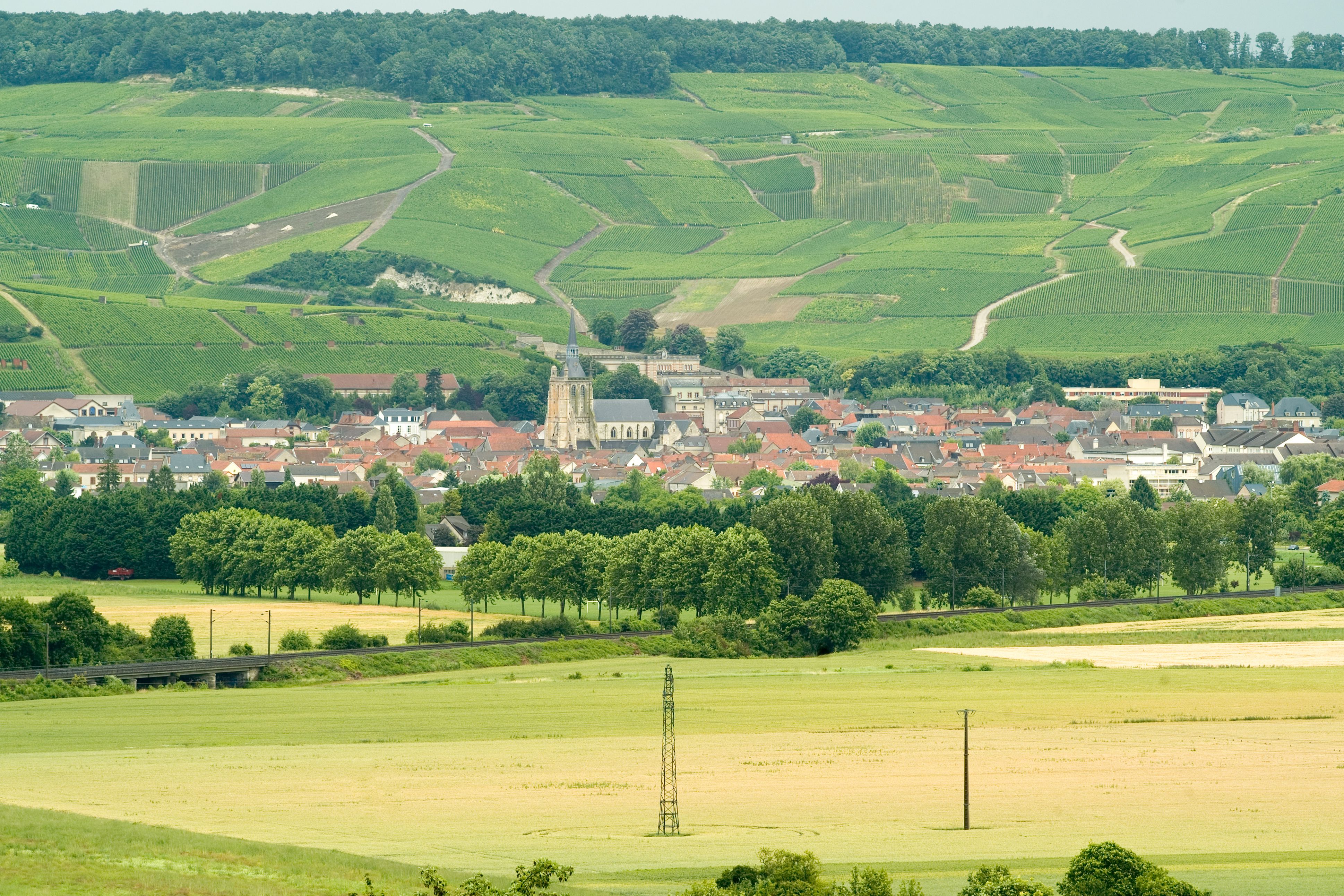 Valle de la Marne