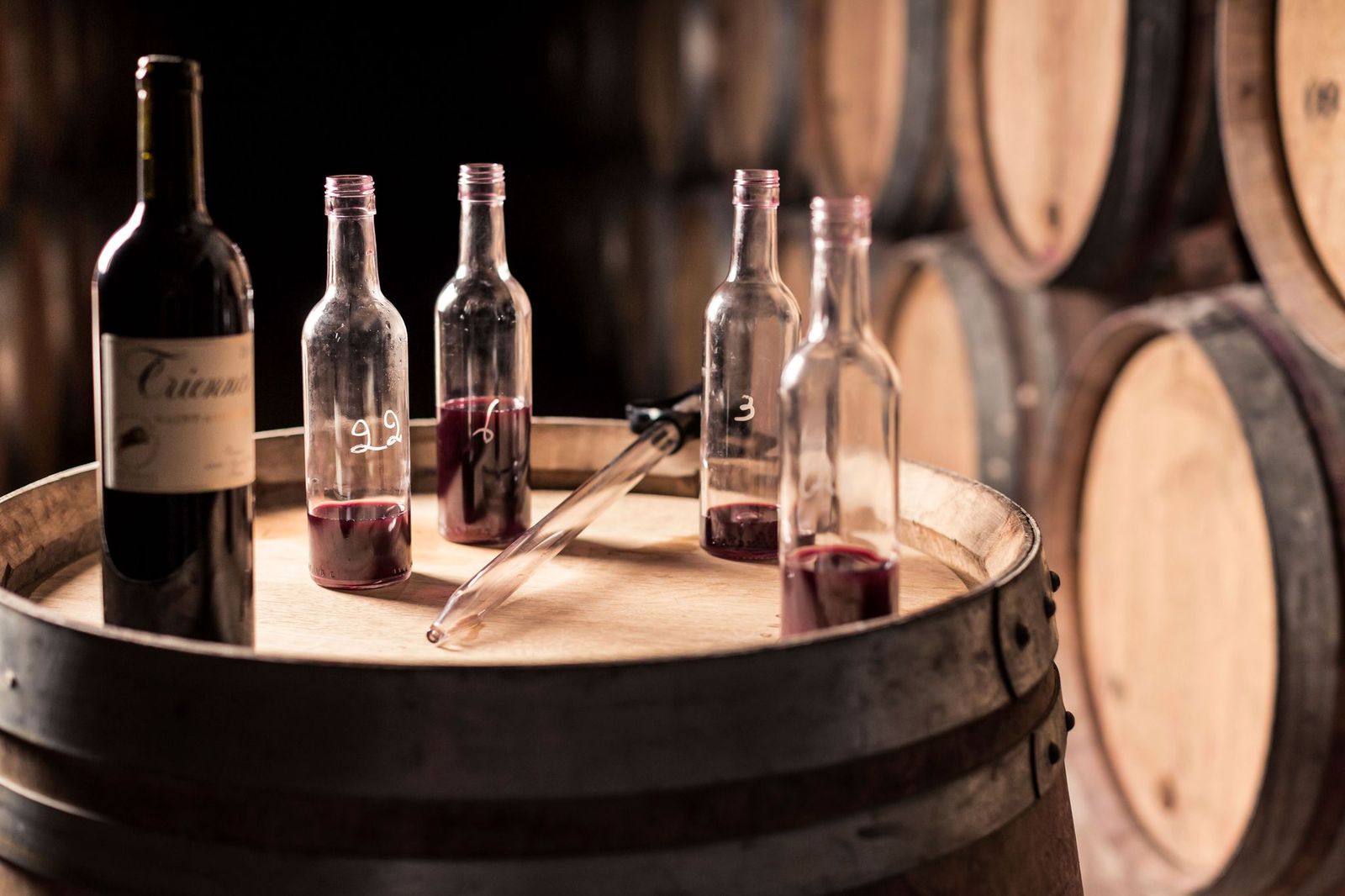 O vinho é parecido com o homem