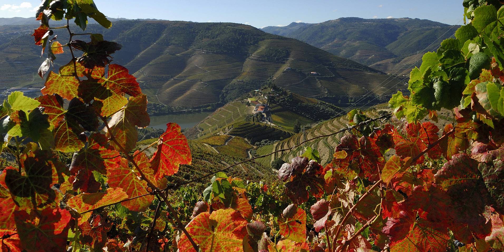 Portugal Douro