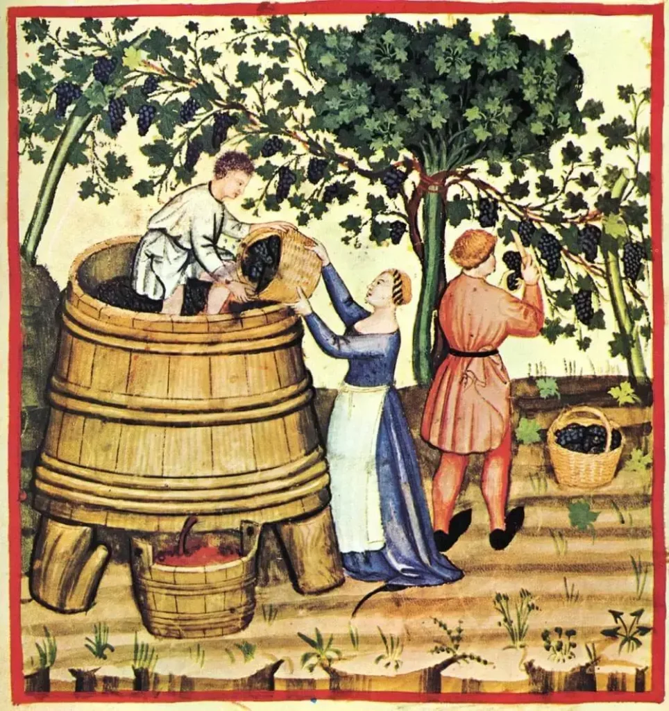 Viticultura antiga