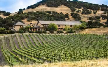 10 rótulos de vinhos do Napa Valley