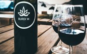 Vinho com cannabis começa a ser produzido em Bordeaux