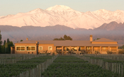 Vistalba cresce em Mendoza e deixa no passado os vinhos com excesso de madeira