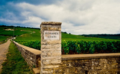 Romanée-Conti: por dentro da vinícola que faz o “maior” vinho do mundo  