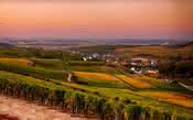 Sancerre, uma das mais clássicas regiões da Sauvignon Blanc