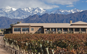 Bodega Vistalba renova os seus vinhos, em Mendoza
