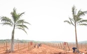 Um novo terroir brasileiro, vinícola Arpuro planta suas primeiras vinhas no cerrado mineiro