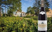 Grandes vinhos: Domaine du Clos-Frantin Vosne-Romanée 2016 é um jovem nobre e elegante